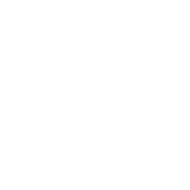 instagram_icon